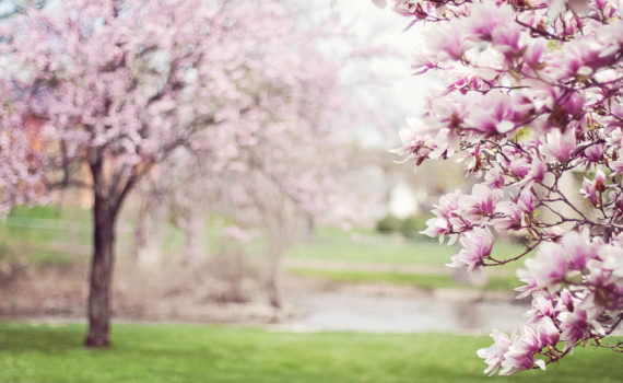 Fonds en euros - assurance-vie