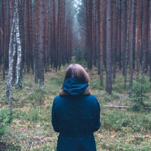 Investir groupement forestier