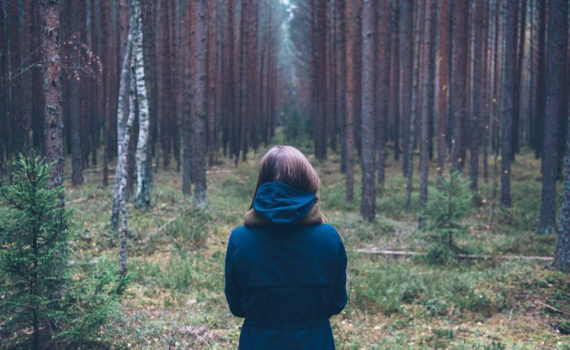Investir groupement forestier