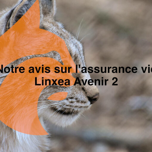 Avis Linxea Avenir 2