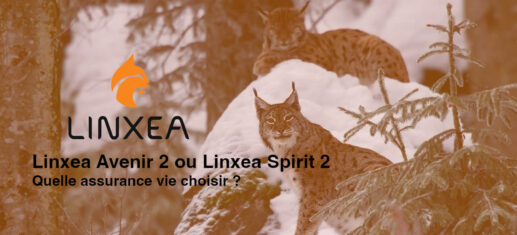 Linxea Avenir 2 ou Linxea Spirit 2