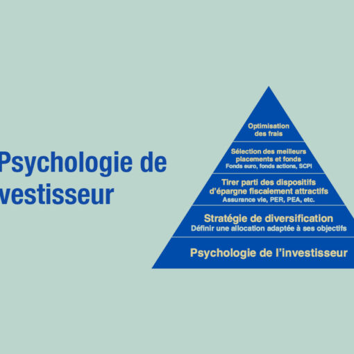 Psychologie de l'investisseur