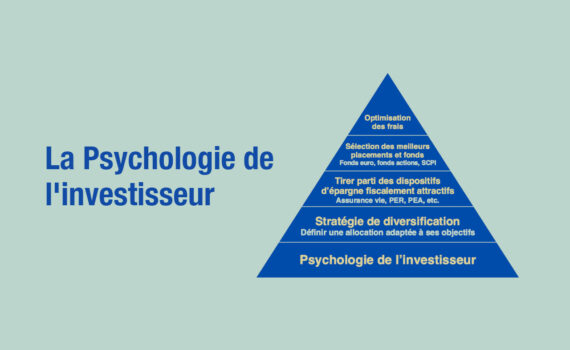 Psychologie de l'investisseur