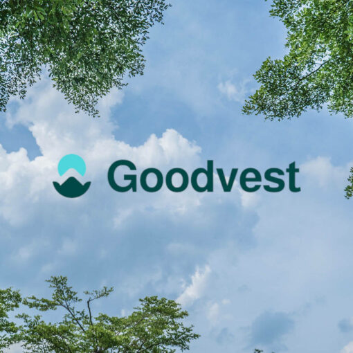 Goodvest avis assurance vie Goodvie