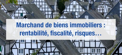 marchand de biens immobiliers
