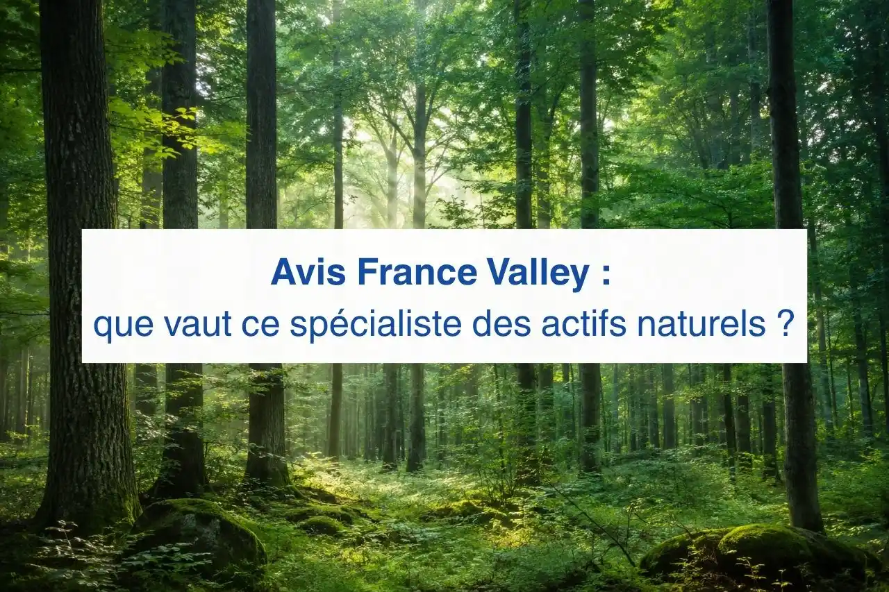 avis france valley